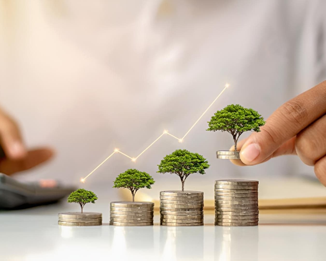 Rentabilité optimisée